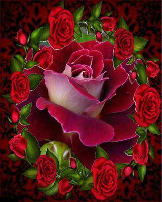 OkrosAnaDana's profile picture. 