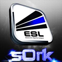 Gamer, Video Editor, Graphic designer and Web designer.