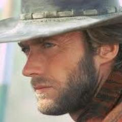 I'm Rowdy Yates, but you can call me Rowdy. I'm a ram rod for a group of drovers, I'm also a gambler....not the best one though.