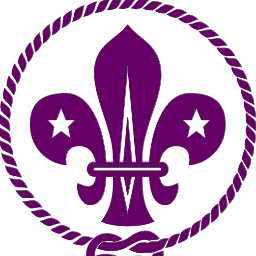 Chester unit to the World Scout Jamboree 2015, our target is to raise £22,000 so that we can all go to Japan in 2015, any donations help!