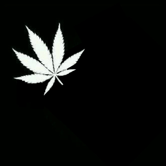 Hacker_cod9's profile picture. 