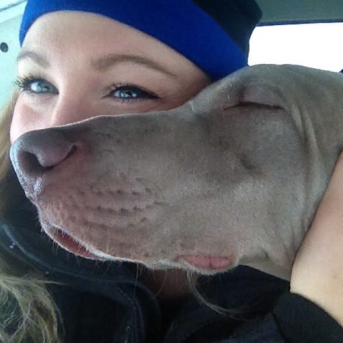 ASFPhoto's profile picture. professional photographer, mua, sask-living lady.