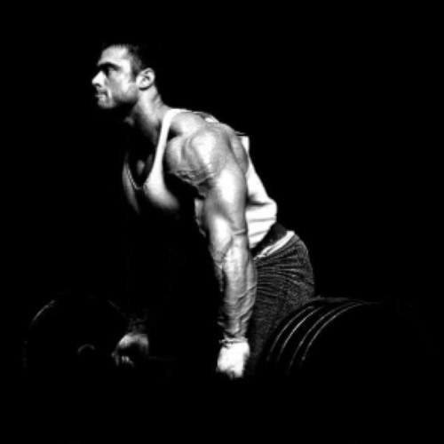 workoutmoti's profile picture. Be the best you can be.