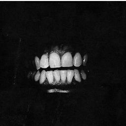 LeslieBonnabel's profile picture. Graphic Designer