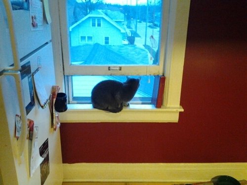 litlpinkus4367's profile picture. 