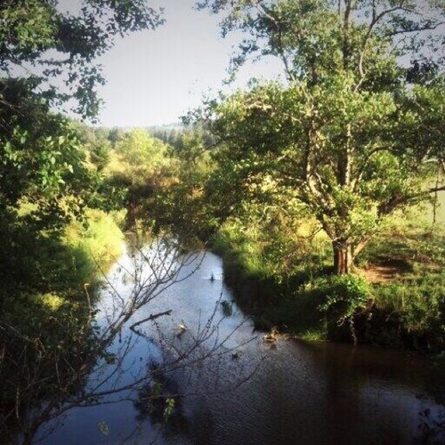 theculinaryyou's profile picture. 