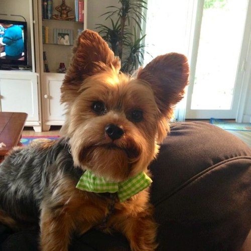 eddiemacUK's profile picture. 