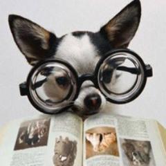 Libraries, books, music, arts, films.