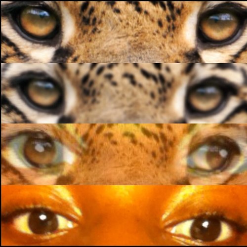 bryana_love's profile picture. 