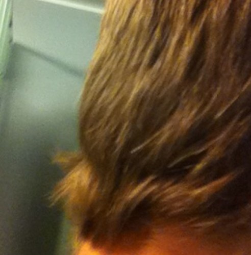 I am a high school tendy tweeting what comes to mind. Bruins fan. 17. Kik me: TendyThoughts. #tendyfamily #tendyforlife