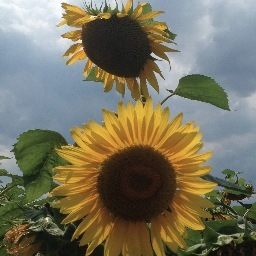 readwriterunmom's profile picture. I am a writer, a teacher, a student, a wife, a mother, and a friend. I run to stay sane. Sometimes it works.