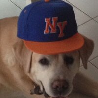 Jacques Monclar (@jmonclar) 's Twitter Profile