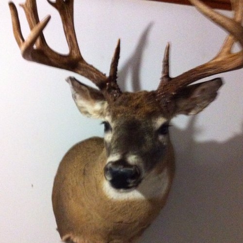 Down n Dirty Outdoor Adventures is a small group of friends who love Hunting, fishing , camping and everything outdoors. Down n Dirty Outdoor Adventures