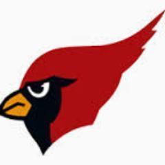 Metamora Football Profile