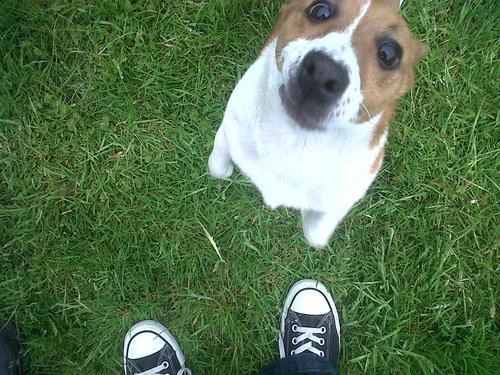 NadieAllen's profile picture. Prolific reader, snoozer and snacker. Owner of small, insane dog. All views my own and not necessarily those of my employer.