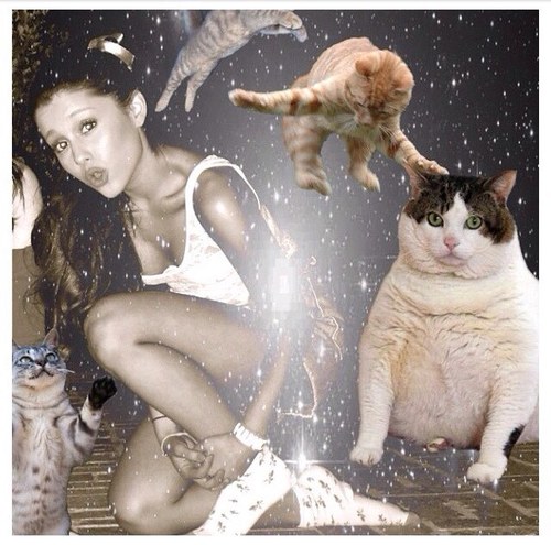 KodyGomesss1's profile picture. Love Life. Love Family. Love Friends. Love Food.