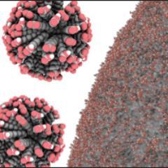 The origin of life, the RNA world, and the transition from chemistry to biology