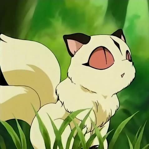 i'm kirara meow and can be a really good friend for you