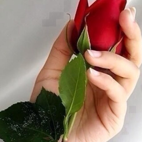 ‏فتاه ذات ملامح طاهره ،خجوله ، متفائله جدا. معادلتي ف الحياه احترم تحترم / تصدق ترزق / ابتسم تؤجر/تواضع ترفع .