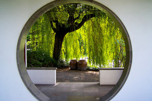 blogdechino's profile picture. Profesora y traductora de chino mandarín