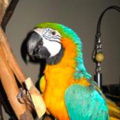 Check my website http://t.co/0KfzkFHn9P