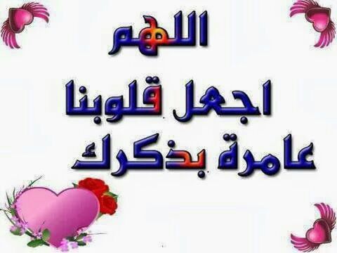 ،.،