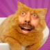 Your Pal Jeremy (@jermazevedo) Twitter profile photo Your Pal Jeremy (@jermazevedo) Twitter profile photo