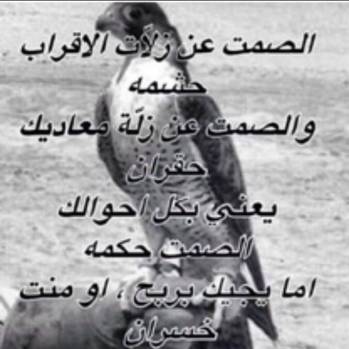 al7or29's profile picture. 