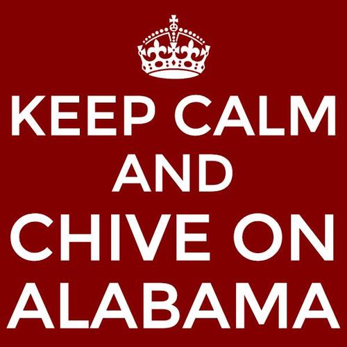 Just a fellow Chiver bringing Alabama Chivettes and Chivers together.