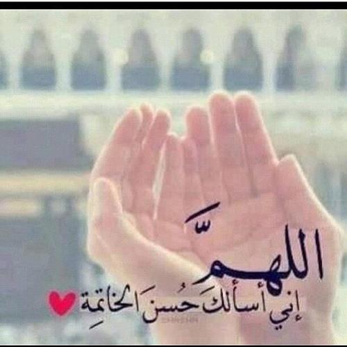 الا بذكر الله تطمئن القلوب :سبحان الله والحمد لله ولا اله الا الله والله اكبر