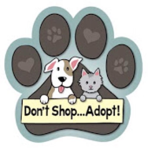 pupprotection's profile picture. A nonprofit organization that helps local animal shelters, raises awarness of puppy mills, helps find/shut down puppy mills, while helping our furry friends!