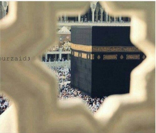 ‏‏ربتني فأحسنت وطالما قدمت وبذلت هي بقلبي تنبض                ..  رُحماك يارب بأمي