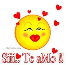 holizz amigo