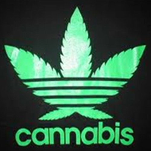 Weed loves you, so love it back. ❤ -Life Of A Stoner