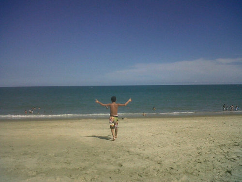 !!S.D.V.S.F!!!