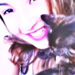 segue meus amores? Sigo de volta (: (y'