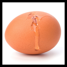 tagladispute's profile picture. #ladispute est ouverte. Vous y êtes tous conviés.