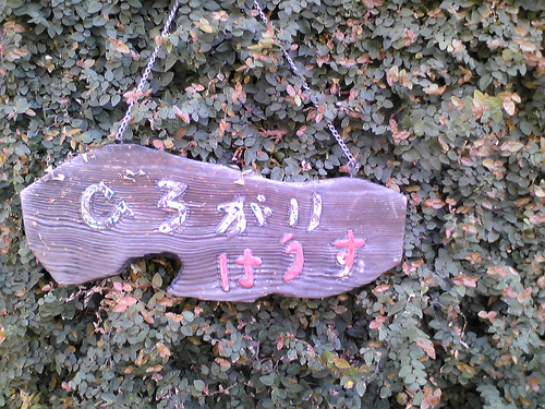 社会福祉法人そうふう会 ひろがりはうすです。障害者地域活動支援センターⅢ型という事業にとりくんでいます。ちいさいところです。