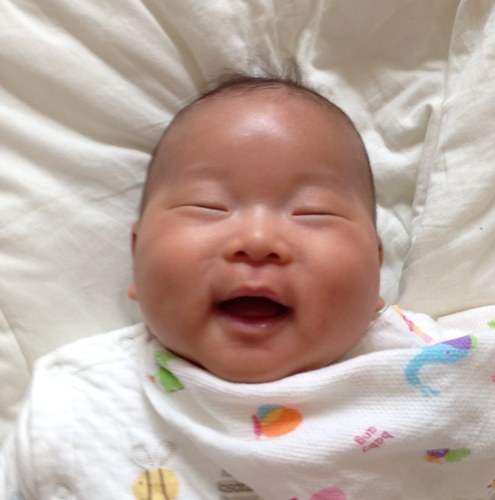 njsky1's profile picture. 광주 광역시 광산구 내산동 산5번지 , 광주 광역시 광산구 양동 산67번지 , 장성군 동화면 구림리 산65번지