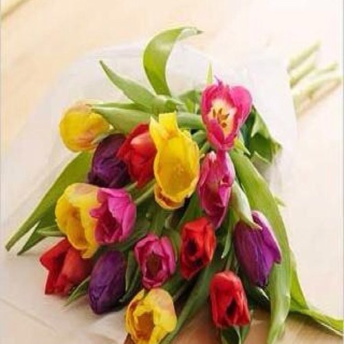 mahu1996's profile picture. { طَهرنيِ مْنهآ يَ آلله وتَوفنيِ بعَدهآ ♥