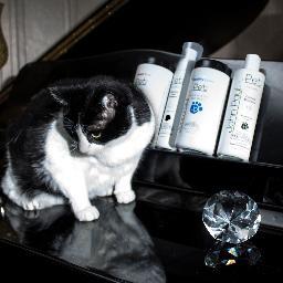 PamperedPorsche's profile picture. The Pampered Icon of Facet Salon and Spa a vision of
Rachelle King