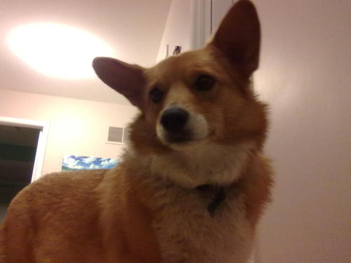 timetochew Profile Picture