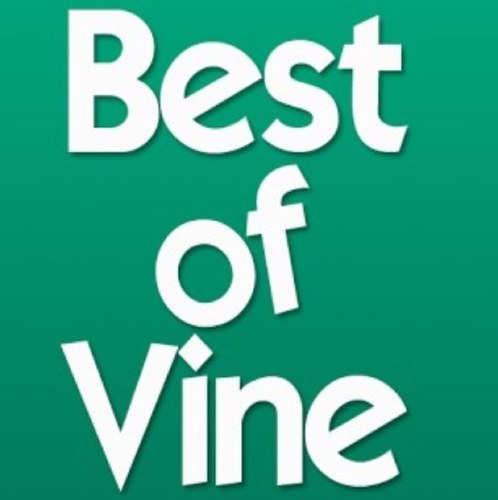 Posting the best of vine daily...