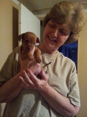 AndreaLPedigo's profile picture. New Mary Kay Independent Beauty Consultant, retired teacher/librarian @ K-5 school. Wife, mother of two great girls. Avid reader and traveler.