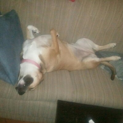 Profile Picture of Jason Dahlin (@JasonDahlin) on Twitter