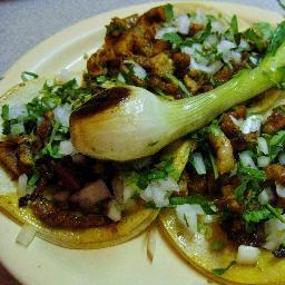 Aspiring food blogger, eater of tacos, and lover of all things food.