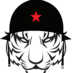 Lucha Tigre (@luchatigrech) Twitter profile photo Lucha Tigre (@luchatigrech) Twitter profile photo