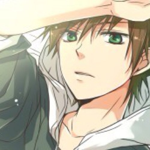 Hi!! Rival Green (Blue) and Viridian City Gym Leader. Professor Oaks son. PKMN: *see header* #Single #RP