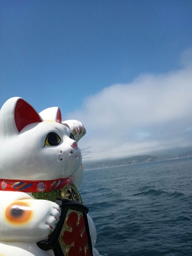 (⌒ー⌒)!かまいし☺岩手でがんばろう