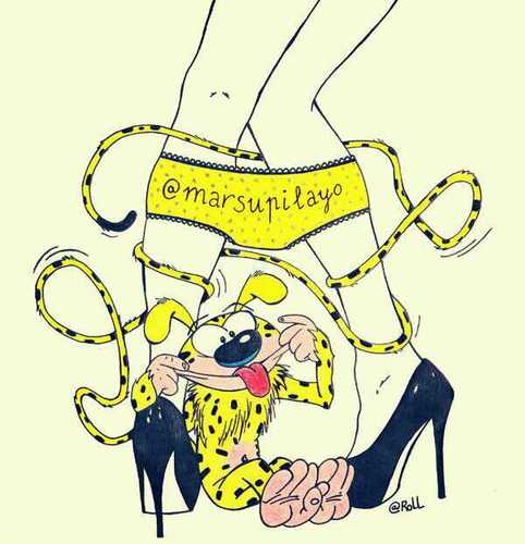 marsupilayo Profile Picture